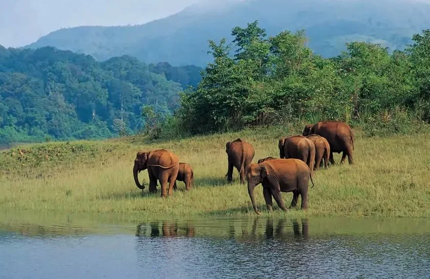 Thekkady Kerala