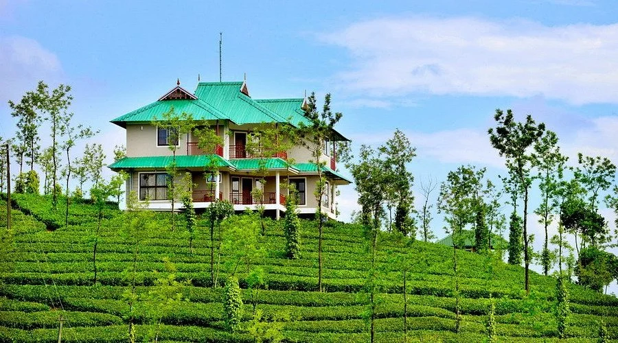Munnar Kerala Tea Plantation